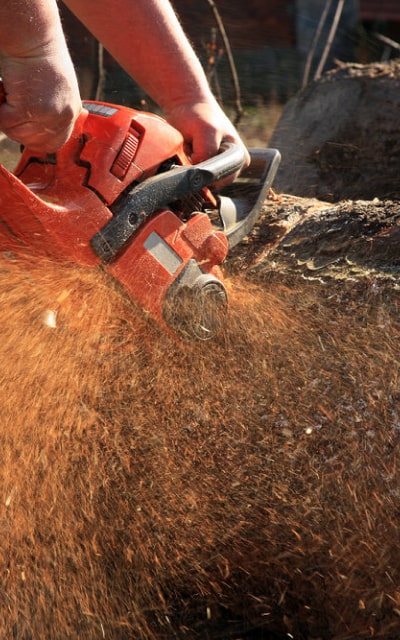 Tools img saw
